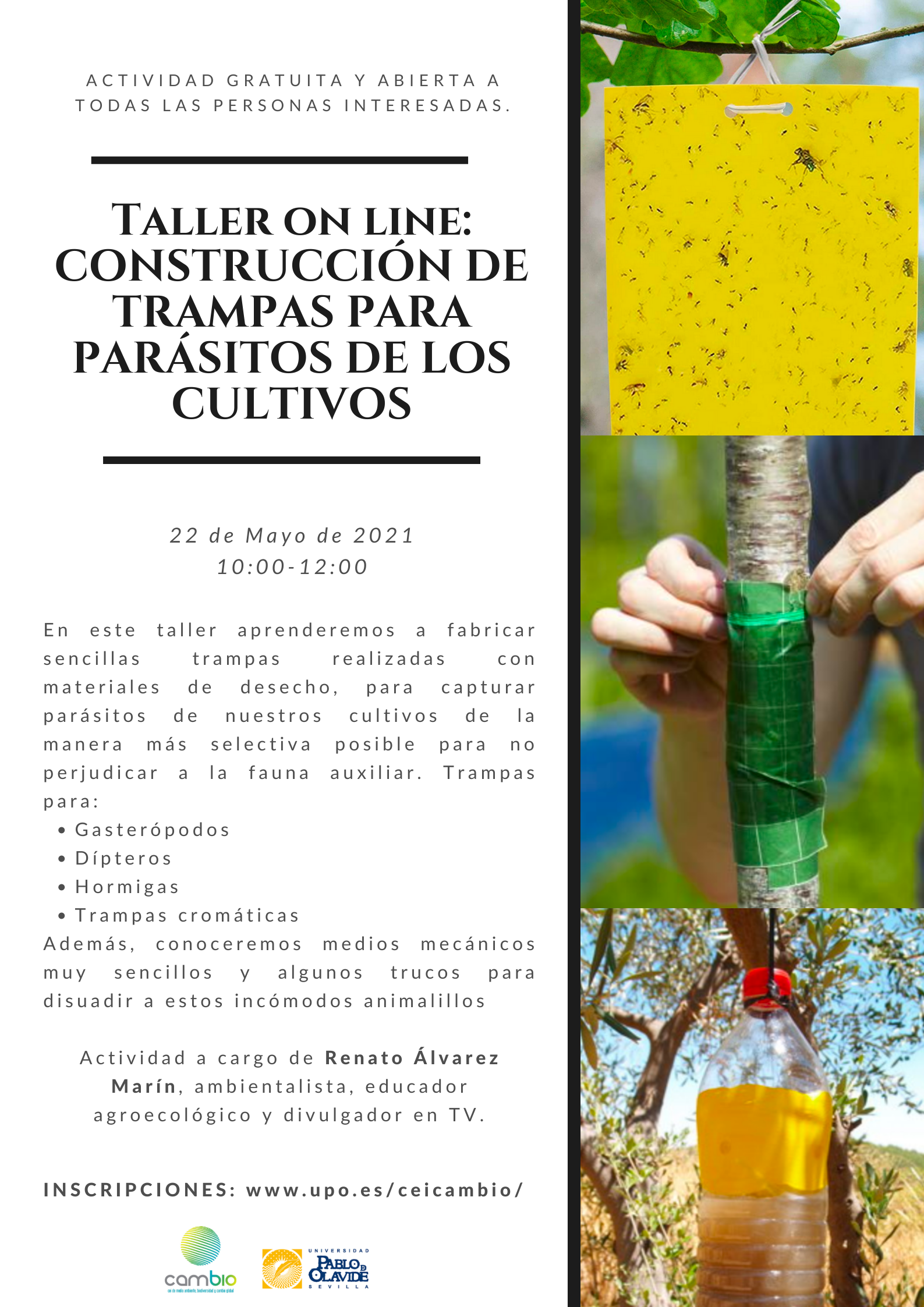 Taller Trampas insectos: 22 de mayo, 10 horas